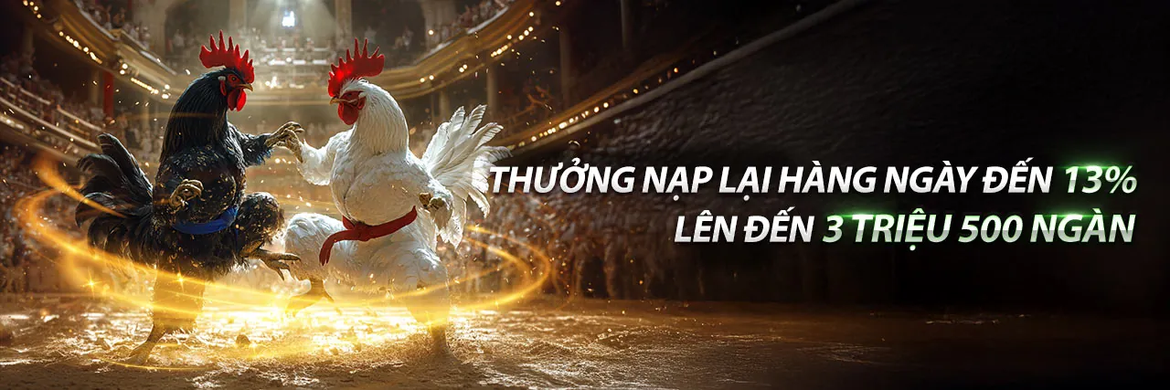 Trực tiếp đá gà Campuchia có bình luận sôi động